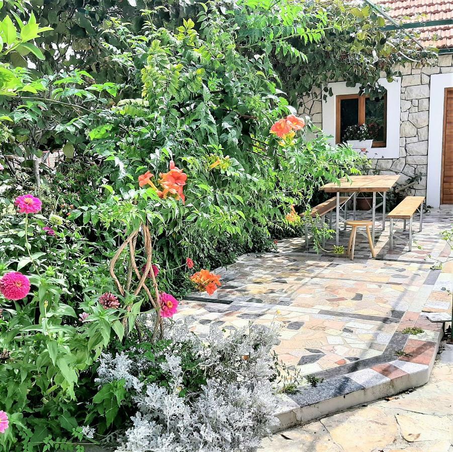 Apartments"Nika" With Private Pool Galovac  Bagian luar foto
